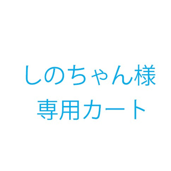 しのちゃん様オーダー品 1枚目の画像