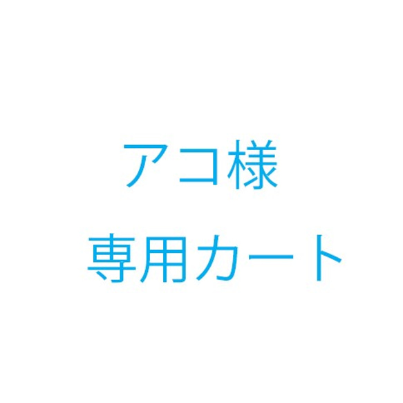 アコ様オーダー品 1枚目の画像