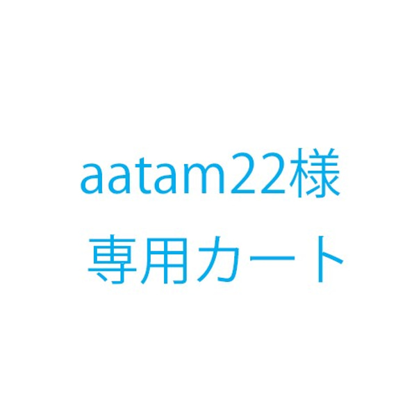 aatam22様オーダー品 1枚目の画像