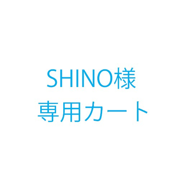 SHINO様オーダー品 1枚目の画像