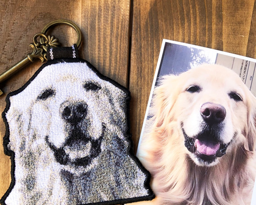 0_67909561f8dd25554f9cb360665a