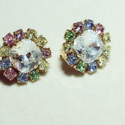 flower bijou earrings 1枚目の画像