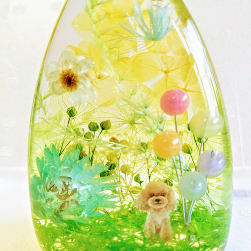 ✴︎琉球プリザモス✴︎ カラーサンプル｛パステルミックスセット ｝ハーバリウム ✴︎琉球プリザモス✴︎ カラーサンプル｛パステルミックスセット