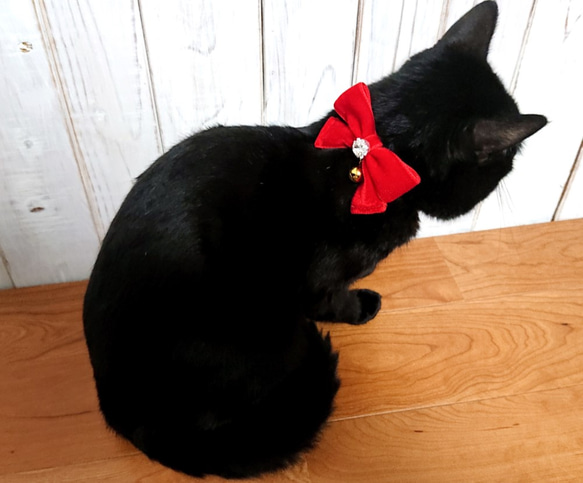 赤のベルベットリボンの猫の首輪 2枚目の画像