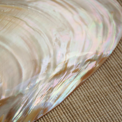 ■purify■ 浄化チップセット　ヒマラヤ水晶(500g)&パールシェル 5枚目の画像