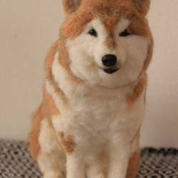 アメリカンコッカースパニエル 羊毛フェルト 羊毛 愛犬 プレゼント