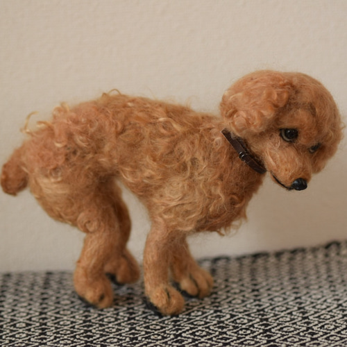 羊毛フェルト トイプードル 犬 ウンチスタイル 羊毛フェルト yamasaki