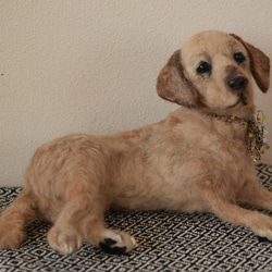 羊毛フェルト　犬　ラブラドールレトリバー　羊毛犬羊毛ドッグ　愛犬　リアル犬 3枚目の画像