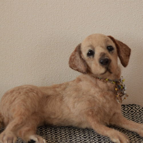 羊毛フェルト 犬 ラブラドールレトリバー 羊毛犬羊毛ドッグ 愛犬