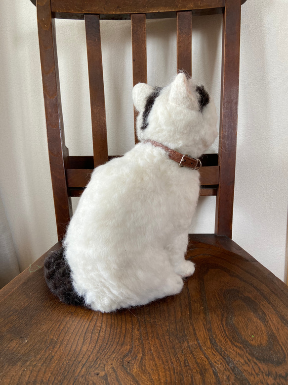 羊毛フェルト　猫　白猫　黒縁　羊毛　 3枚目の画像