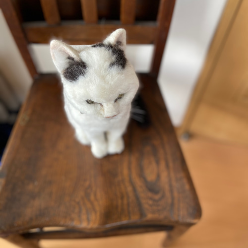 羊毛フェルト 猫 白猫 黒縁 羊毛 羊毛フェルト yamasaki misa 羊毛フェルト 猫 白猫 黒縁 羊毛 羊毛フェルト yamasaki misa