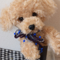 トイプードル　羊毛フェルト　羊毛　うちの子　プレゼント　として　といぷーどる　犬　リアル犬 1枚目の画像