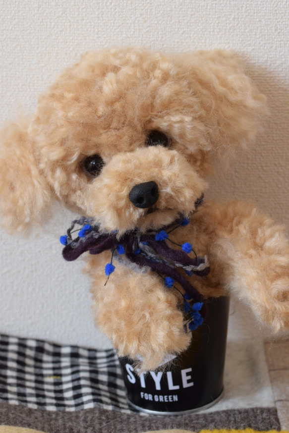 トイプードル　羊毛フェルト　羊毛　うちの子　プレゼント　として　といぷーどる　犬　リアル犬 3枚目の画像