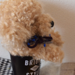 トイプードル　羊毛フェルト　羊毛　うちの子　プレゼント　として　といぷーどる　犬　リアル犬 6枚目の画像