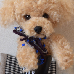 トイプードル　羊毛フェルト　羊毛　うちの子　プレゼント　として　といぷーどる　犬　リアル犬 7枚目の画像