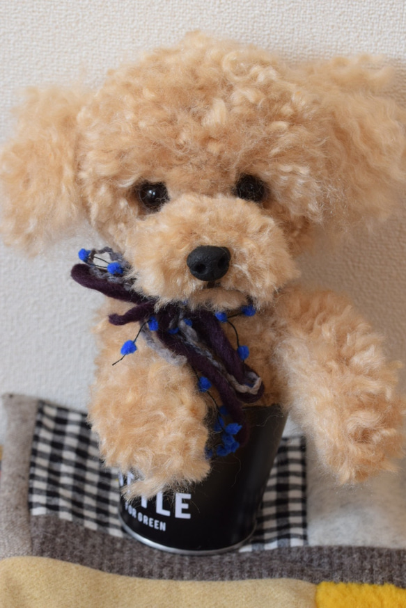 トイプードル　羊毛フェルト　羊毛　うちの子　プレゼント　として　といぷーどる　犬　リアル犬 7枚目の画像