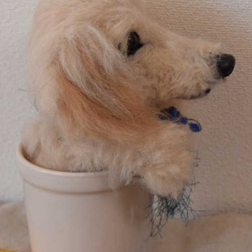 ミニチュアダックス カップ犬 羊毛フェルト 羊毛犬 ダックス
