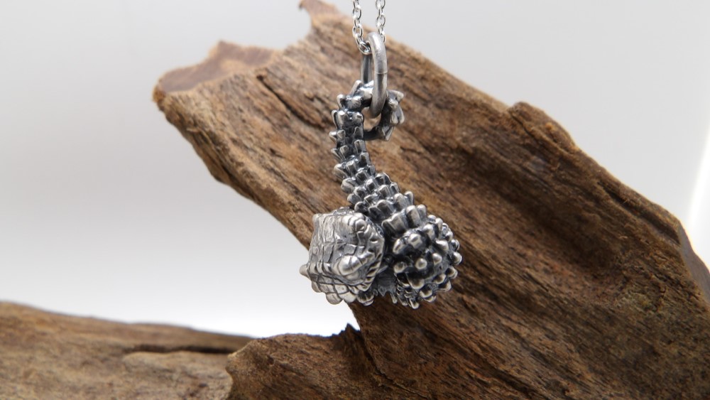 アルマジロトカゲ・トップ