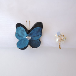 Morpho (earing) 第1張的照片