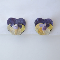 Pansy (earing) 第1張的照片