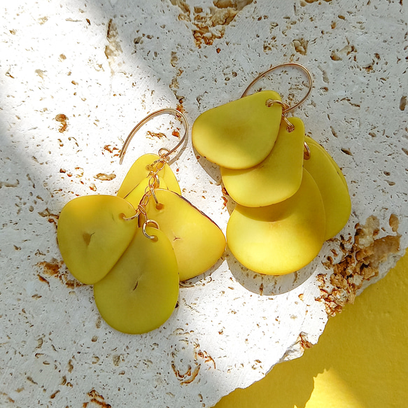 送料無料14kgf Yellow Tagua Nuts layers pierced earringsタグア 1枚目の画像