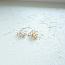 14kgf Akoya volume pearls pierced earring / earring 6枚目の画像