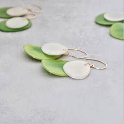 送料無料14kgf*Light Green x Beige Tagua Nuts pierced earrings 3枚目の画像