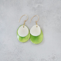 送料無料14kgf*Light Green x Beige Tagua Nuts pierced earrings 4枚目の画像