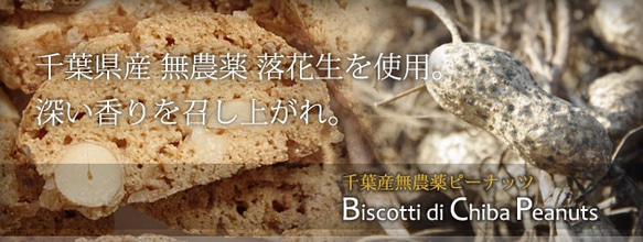 【Lサイズ】Biscotti di Chiba peanuts（千葉県産ピーナッツ）140g（国産小麦100％） 4枚目の画像