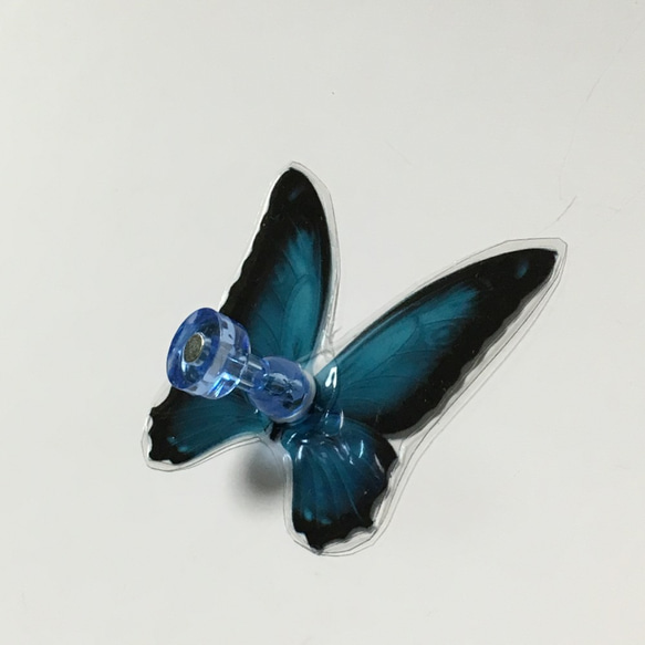 【再販】クリアな蝶のマグネット（大）6個セット 6枚目の画像