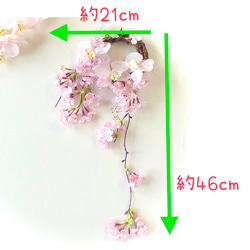 しだれ桜と胡蝶蘭のリース 6枚目の画像