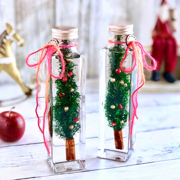 ハーバリウム＊クリスマスツリー ハーバリウム・植物標本