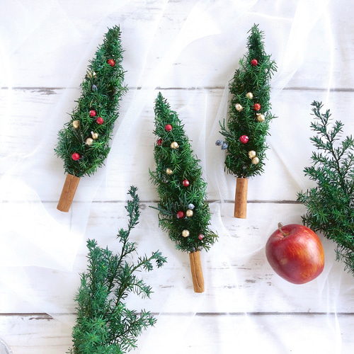 ハーバリウム＊クリスマスツリー ハーバリウム・植物標本