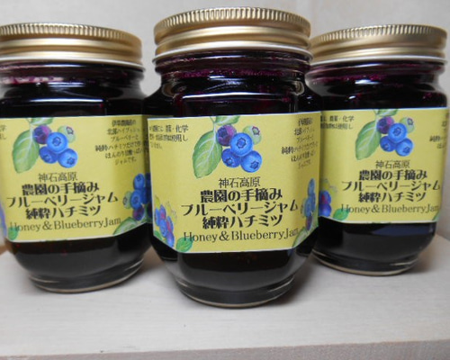 純粋蜂蜜 無添加 非加熱  国産 生ブルーベリー・ジャム  420グラム×2個 0_661779f2d1335a862cb7ab522a45