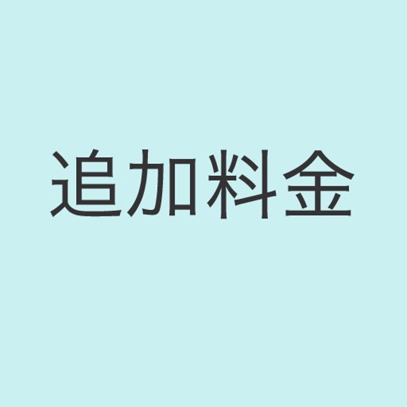 追加料金　調整分 1枚目の画像