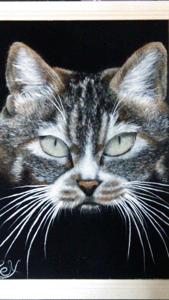 長尾さんのわた絵「公園ののら猫」