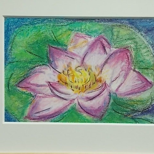 絵画 インテリア額絵 パステル画 白と赤紫の花 睡蓮 絵画 susa