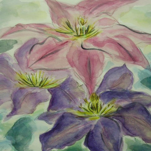 絵画 インテリア 水彩画 額絵 花の絵 クレマチス パープル 絵画 susa