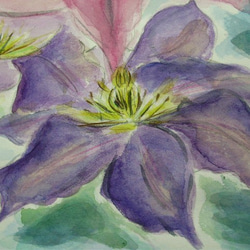 絵画 インテリア 水彩画 額絵 花の絵 クレマチス パープル 4枚目の画像