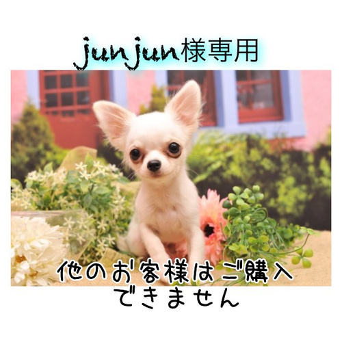 じゅんじゅん様》ご専用 じゅんじゅん様ご専用②