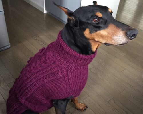 大型犬用　手編みウールセーター2XL 大型犬用 手編みウールセーター2XL