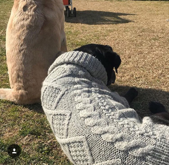 大型犬セーター④ 3枚目の画像