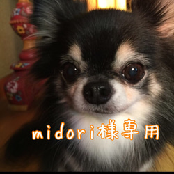 midori様専用 1枚目の画像