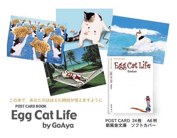 ポストカードブック：Egg Cat Life 1枚目の画像