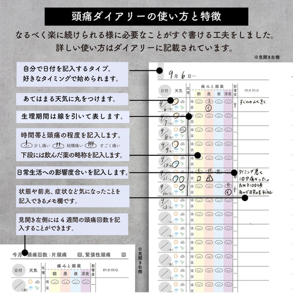  第5張的照片