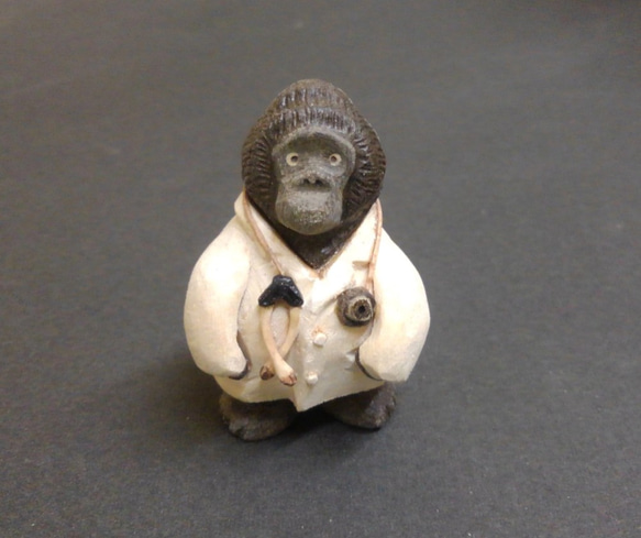 Dr.ゴリラ 1枚目の画像