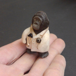 Dr.ゴリラ 2枚目の画像