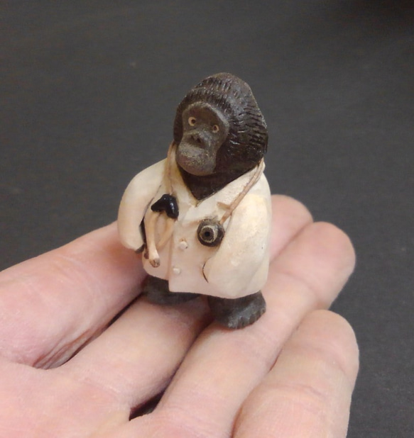 Dr.ゴリラ 2枚目の画像