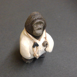 Dr.ゴリラ 3枚目の画像