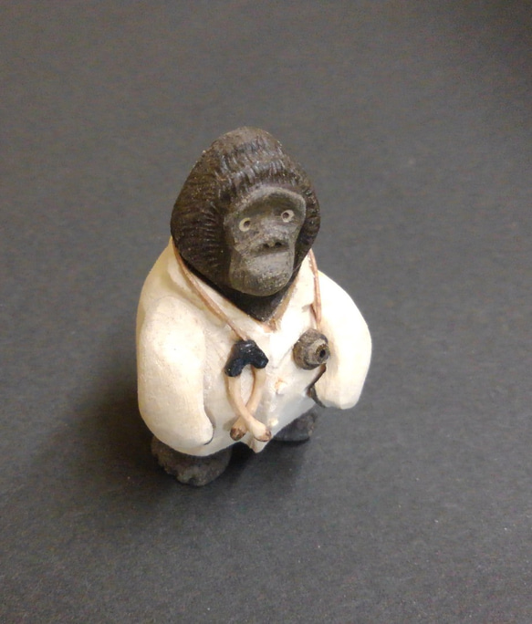 Dr.ゴリラ 3枚目の画像